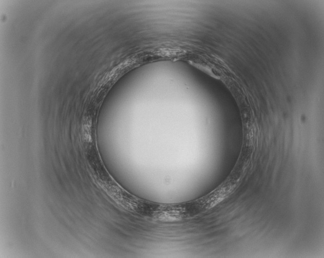 X0000053010368200507291714