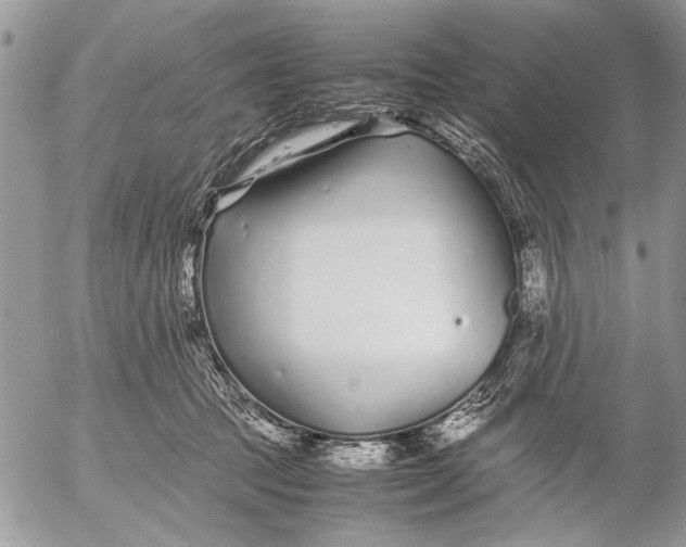 X0000053010369200507291714