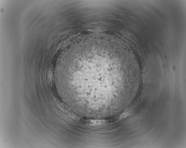 X0000053010371200507291714