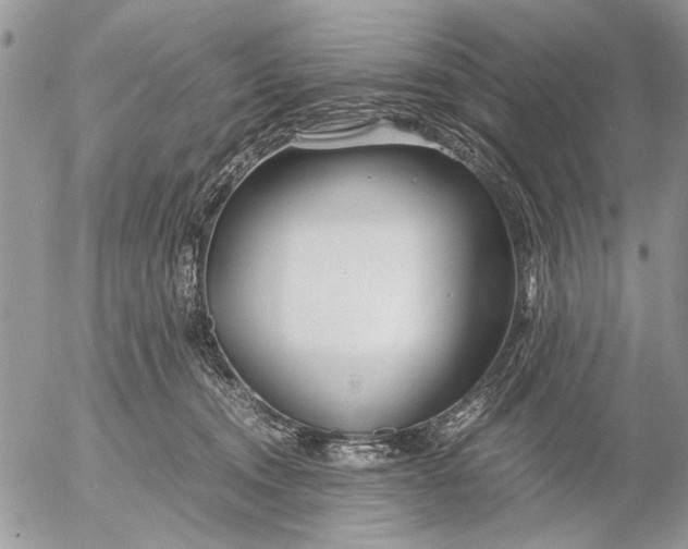 X0000053010372200507291714