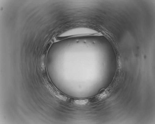 X0000053010373200507291714