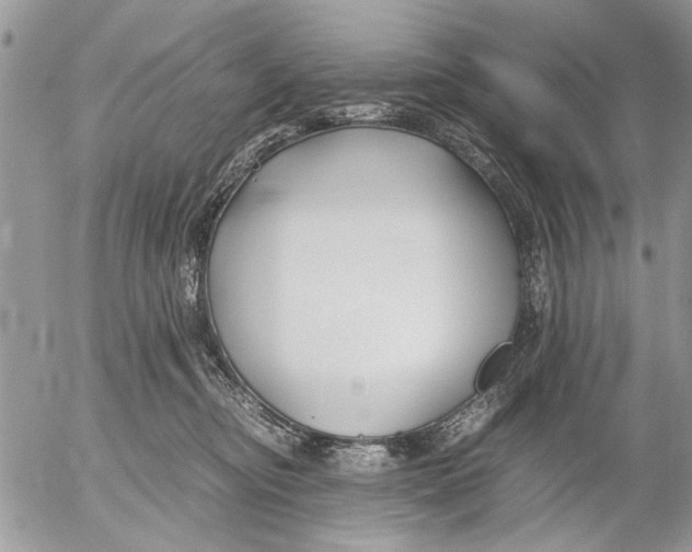 X0000053010374200507291714