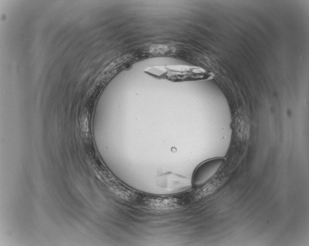 X0000053010375200507291714