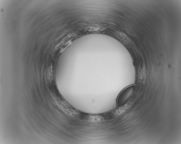 X0000053010376200507291714