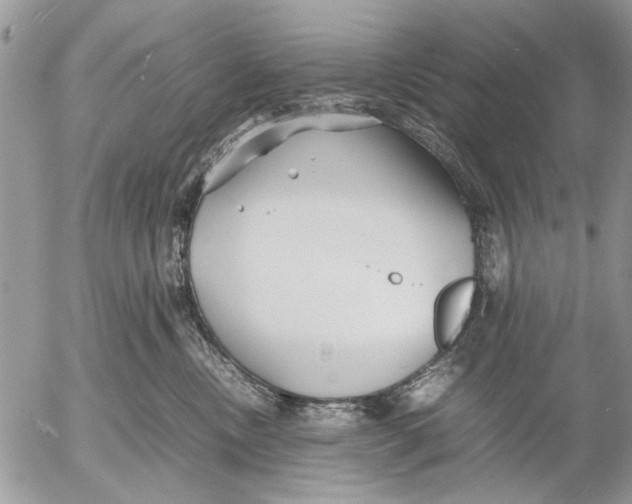 X0000053010378200507291714