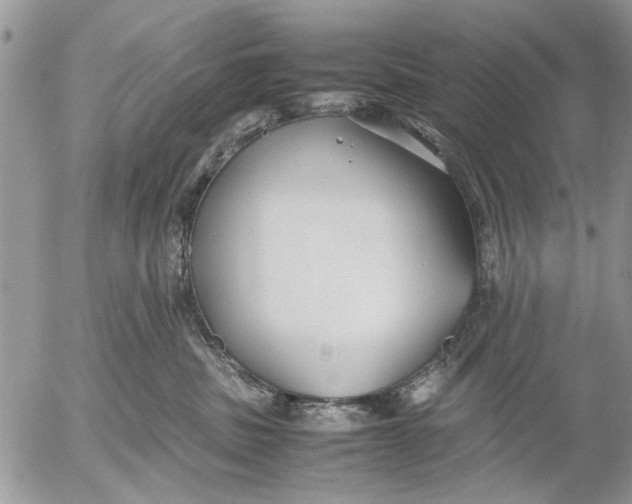 X0000053010379200507291714