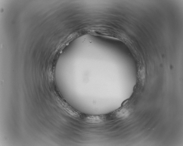 X0000053010381200507291714