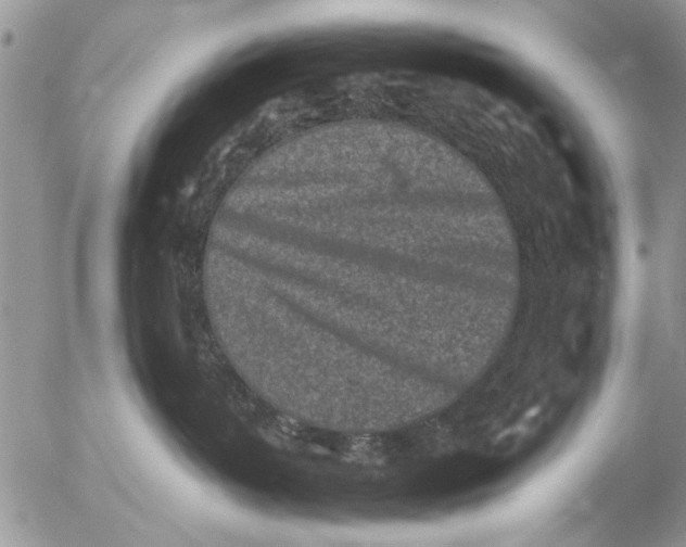 X0000053010382200507291714