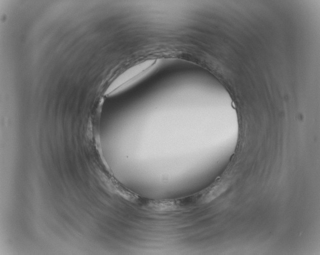 X0000053010384200507291714