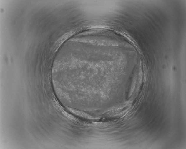 X0000053010385200507291713