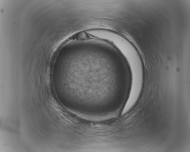 X0000053010387200507291713