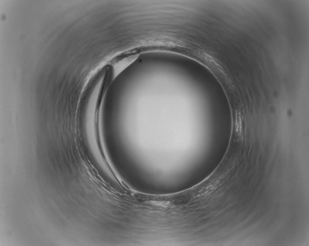 X0000053010388200507291713