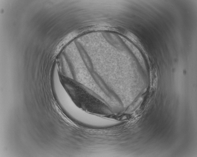 X0000053010389200507291713