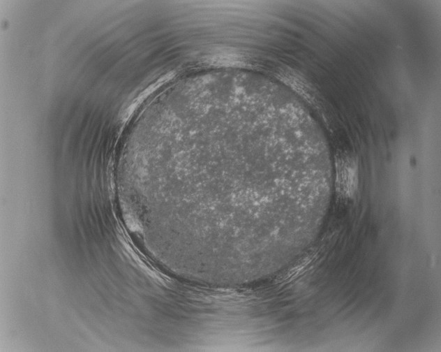 X0000053010390200507291713