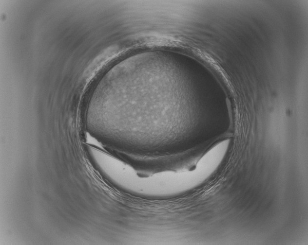 X0000053010391200507291713