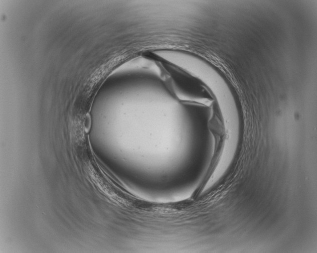 X0000053010393200507291713