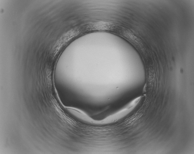 X0000053010394200507291713