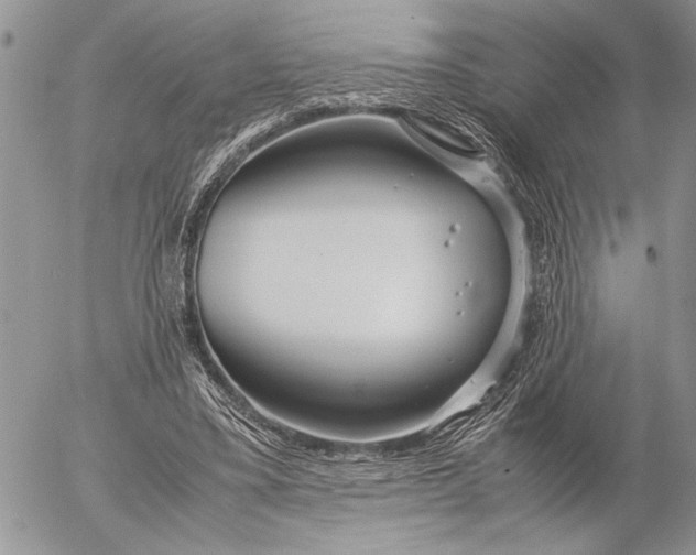 X0000053010395200507291713