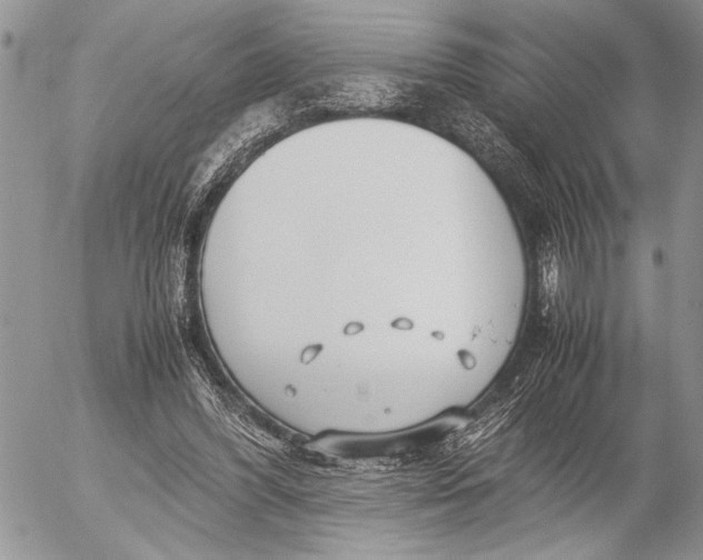 X0000053010396200507291713