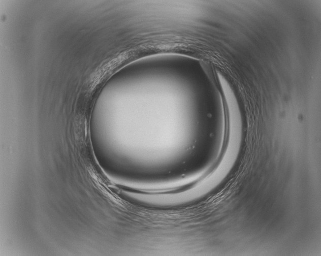 X0000053010397200507291713