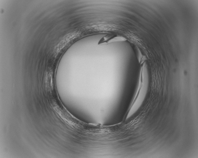 X0000053010398200507291713