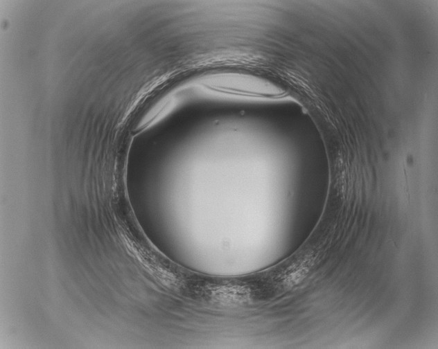 X0000053010400200507291713