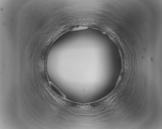 X0000053010401200507291713