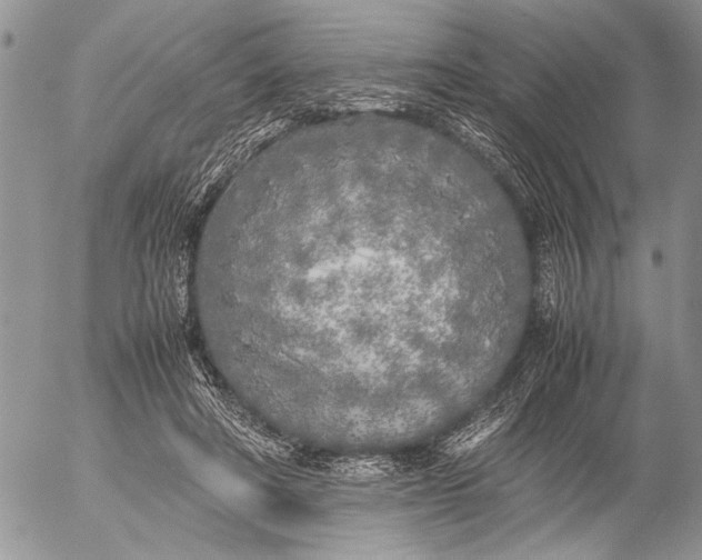 X0000053010402200507291713