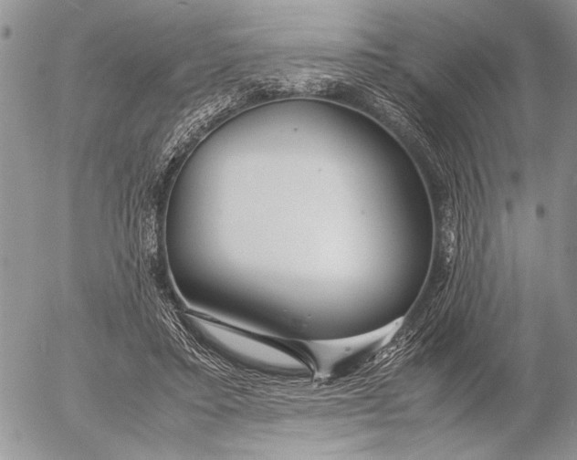 X0000053010403200507291713