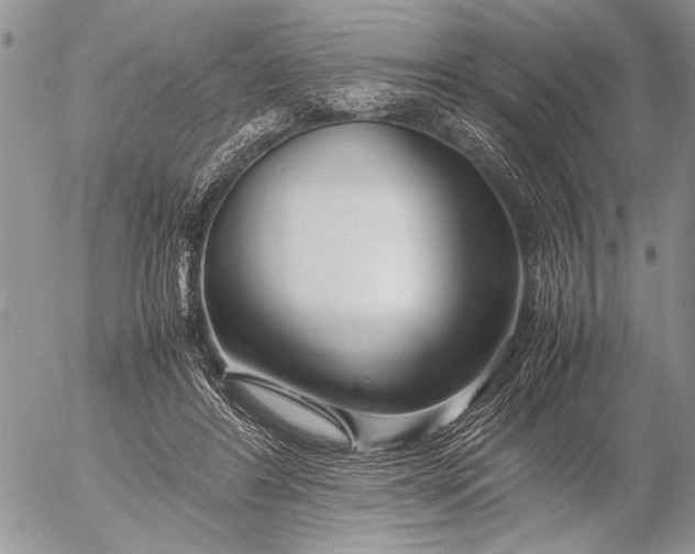 X0000053010404200507291713