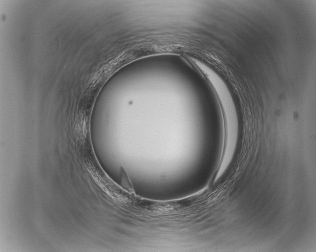 X0000053010405200507291713