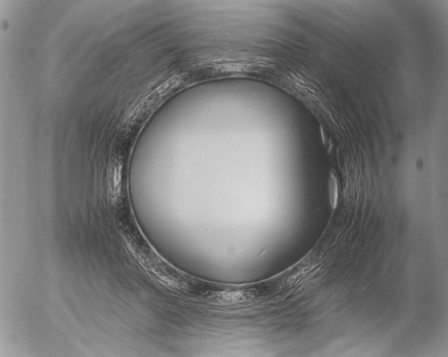 X0000053010406200507291713