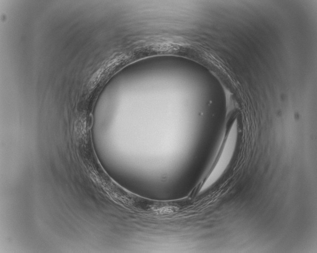 X0000053010407200507291713