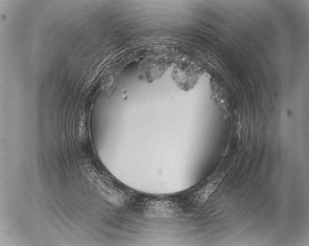 X0000053010408200507291713