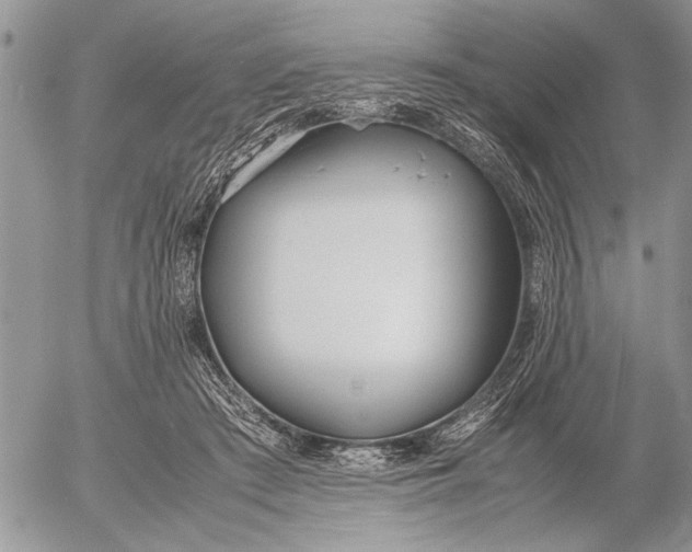 X0000053010409200507291713