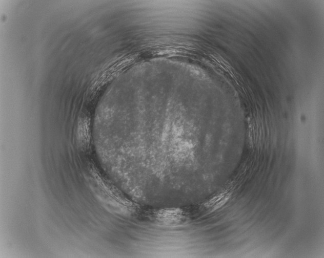 X0000053010410200507291713