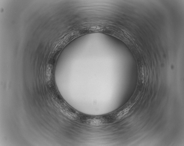 X0000053010412200507291713