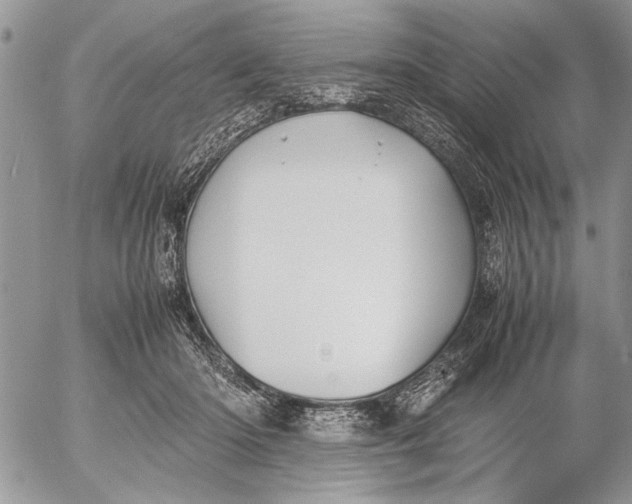 X0000053010414200507291713