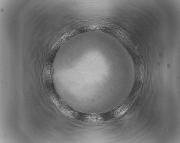 X0000053010415200507291713