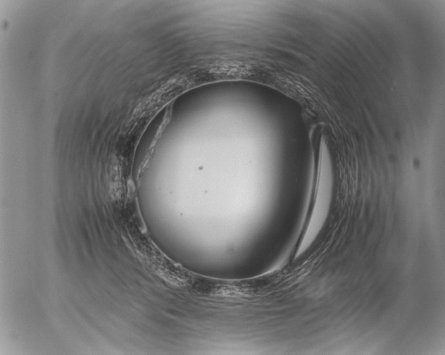 X0000053010416200507291713