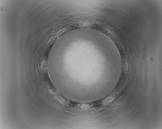 X0000053010419200507291713