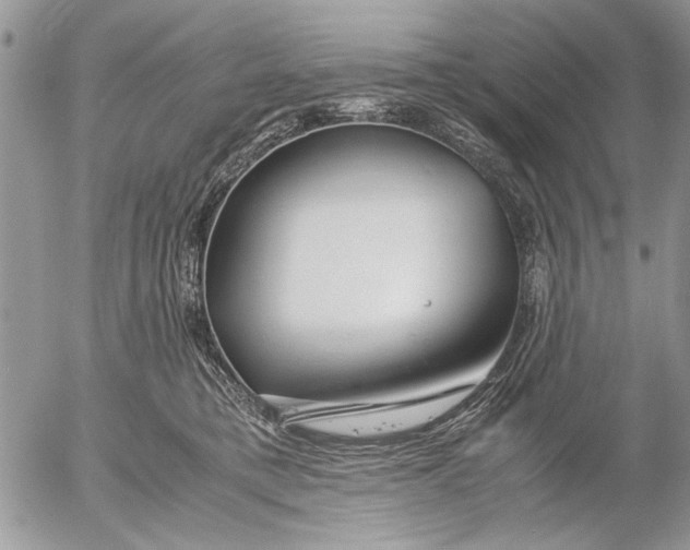 X0000053010421200507291713