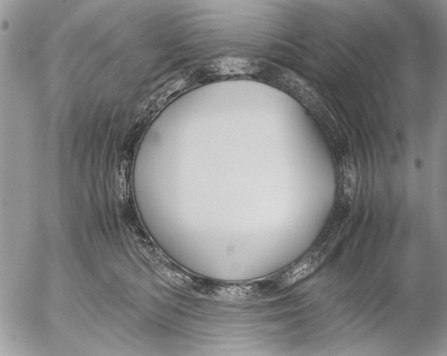 X0000053010422200507291712