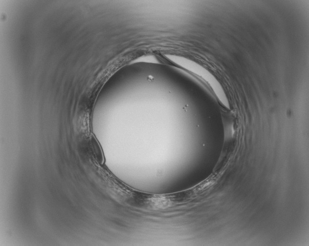 X0000053010425200507291712