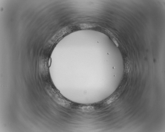 X0000053010426200507291712