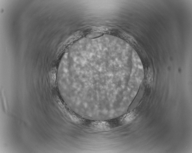 X0000053010427200507291712