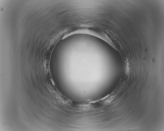 X0000053010428200507291712