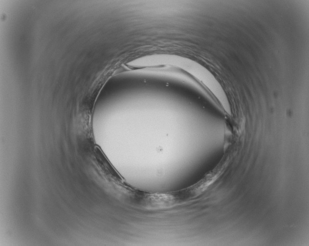 X0000053010429200507291712