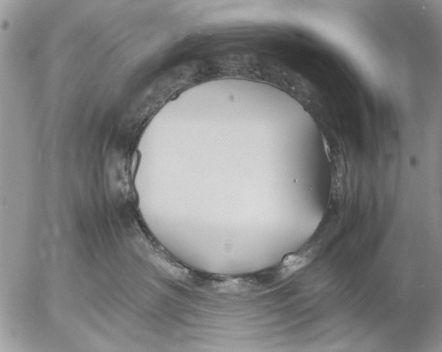 X0000053010430200507291712