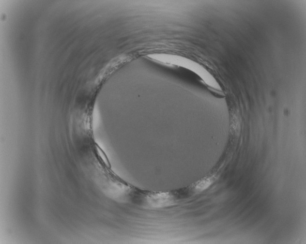 X0000053010431200507291712